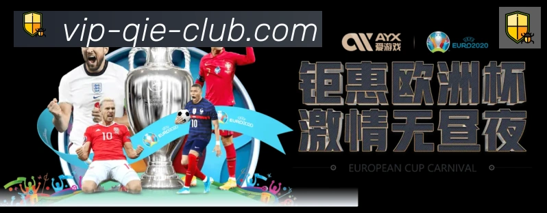 奖项证书